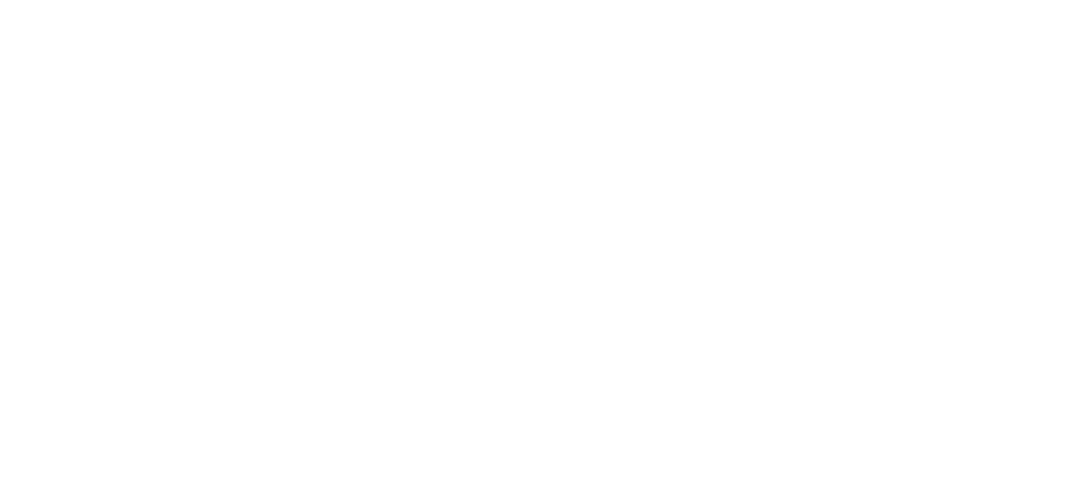 Real Broker LLC